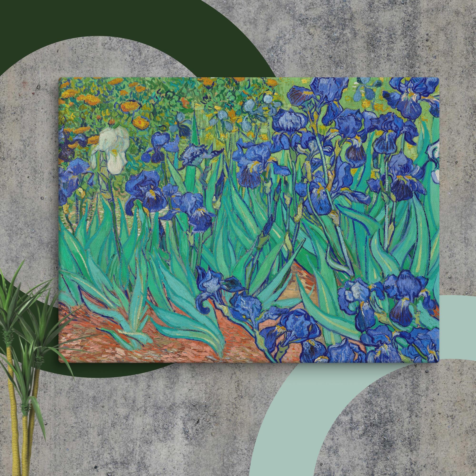  Irises by Vincent van Gogh Canvas Print