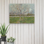 Orchard in Blossom (Plum Trees) by Vincent van Gogh Thin canvas Print